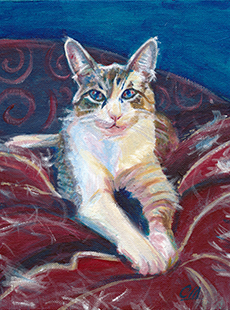 Carolyn Merklein sample cat portrait