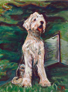 Carolyn Merklein sample dog portrait
