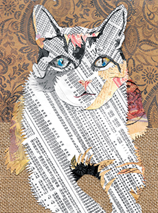 maggy_brown_pp-catcropped230x310v