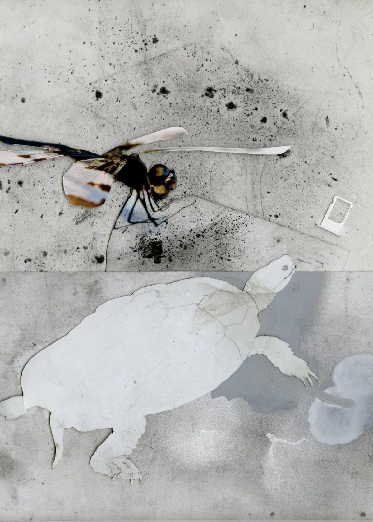 June Visual Artist of the Month Christopher Owen Smith Heights Arts Heights Arts